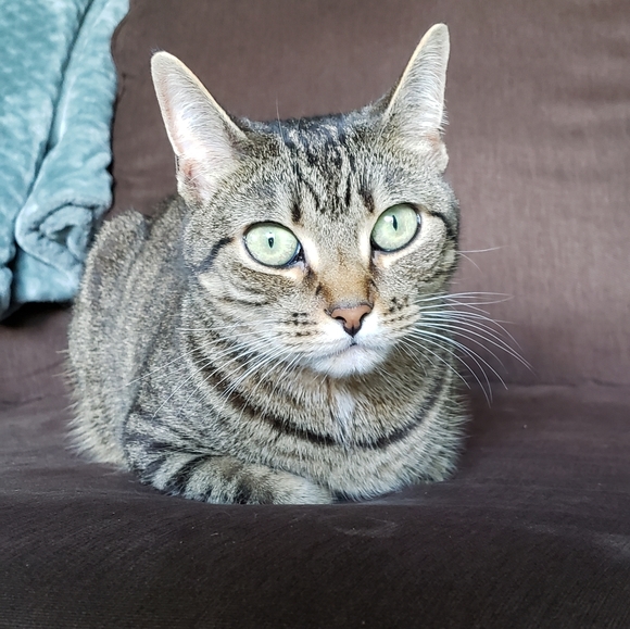 Meet your Posher, Amanda - Picture 2 of 2